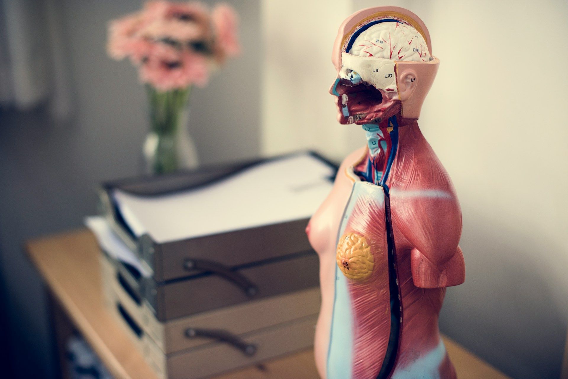 Funkcinė medicina žvelgia į organizmą kaip į visumą: ką tai reiškia pacientui?
